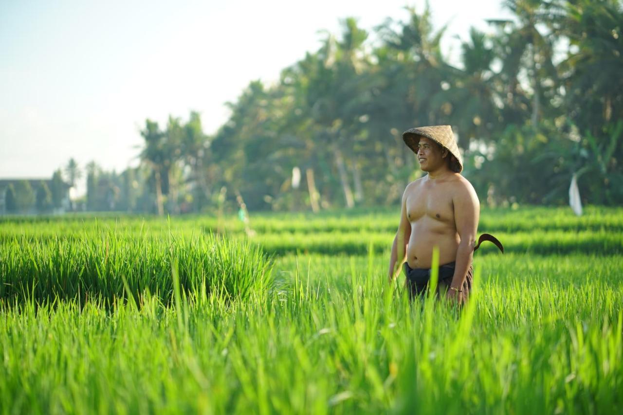 Asri Sari Villa Ubud ภายนอก รูปภาพ