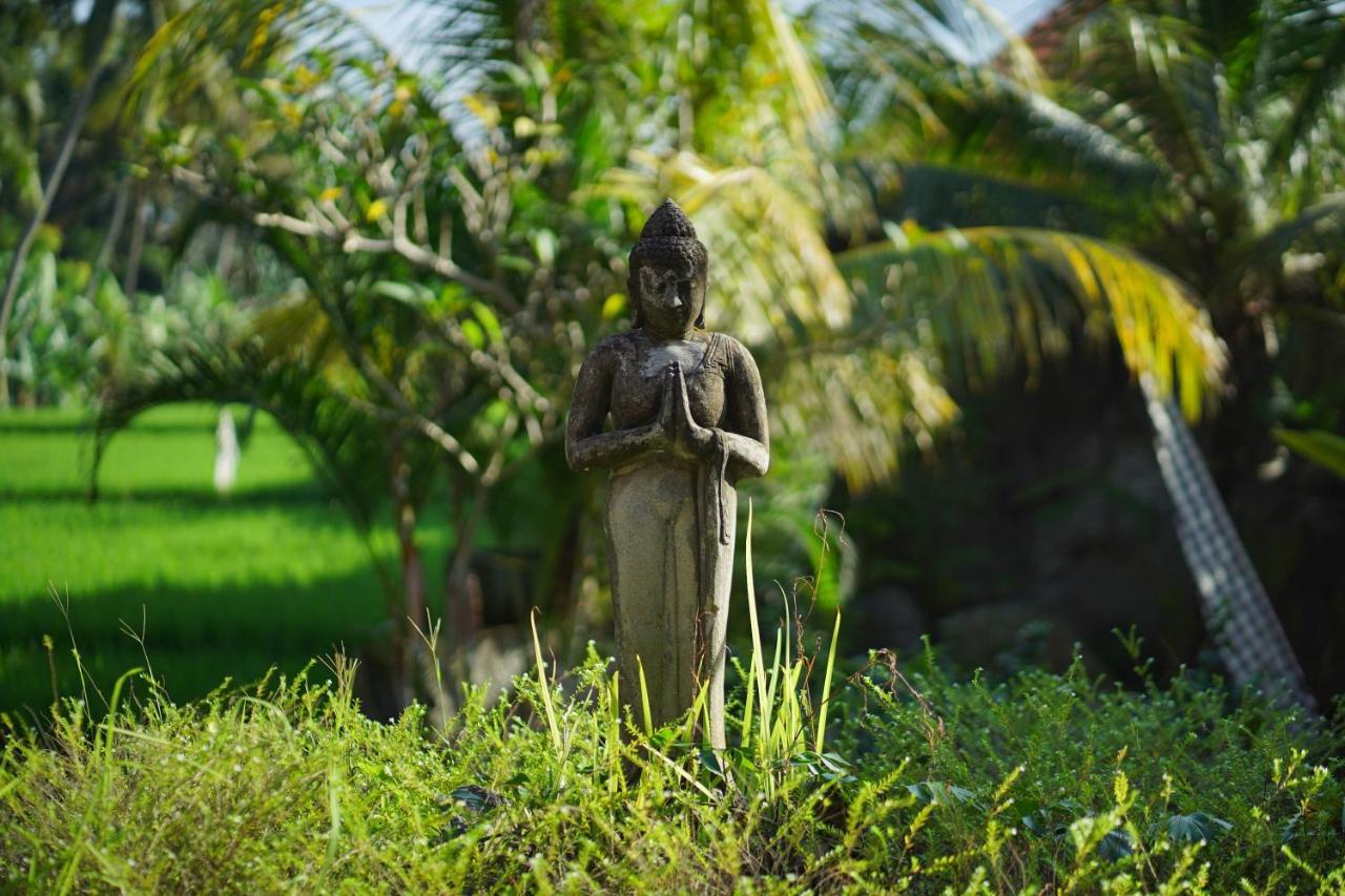 Asri Sari Villa Ubud ภายนอก รูปภาพ