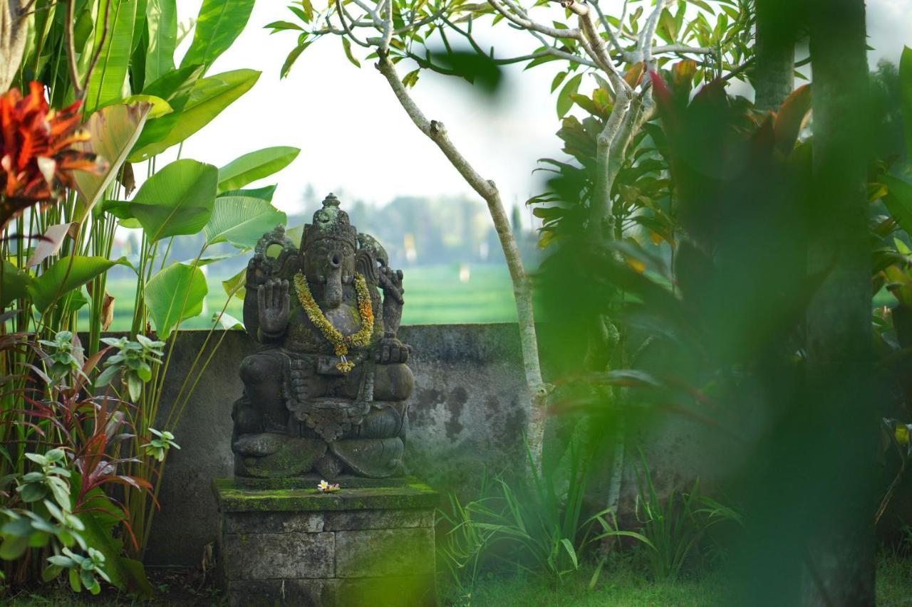 Asri Sari Villa Ubud ภายนอก รูปภาพ