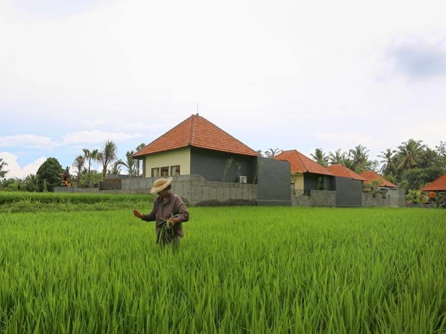 Asri Sari Villa Ubud ภายนอก รูปภาพ